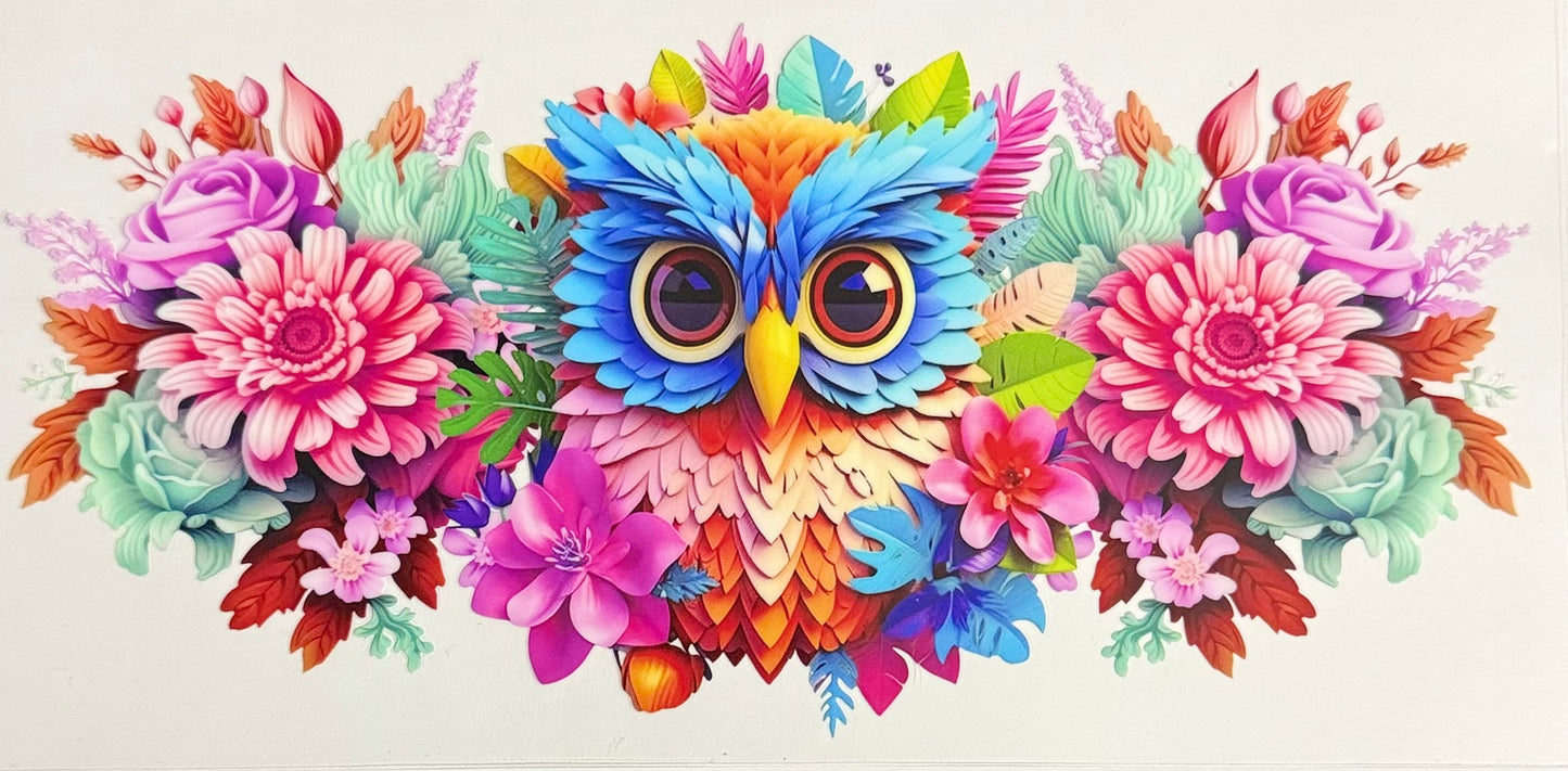 Cute owl