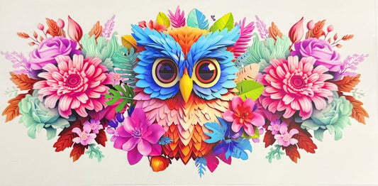 Cute owl