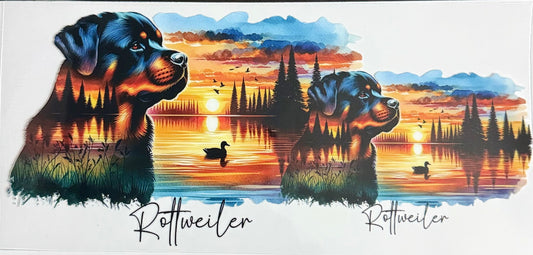 Rottweiler